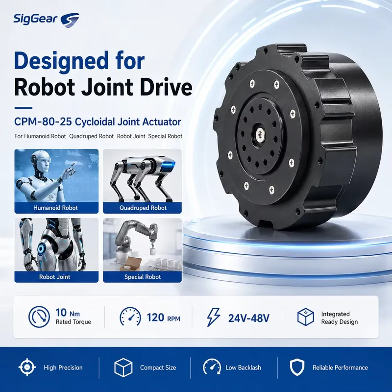 Motor de engranajes cicloidal  - Cycloidal Reducer Bldc Motor reseña y precio
